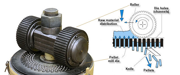 Working principle of rotating roller type pellet mill