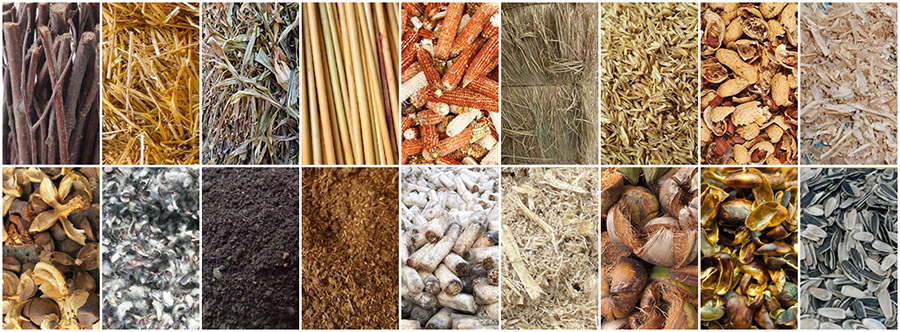 Applicable Biomass Raw Materials