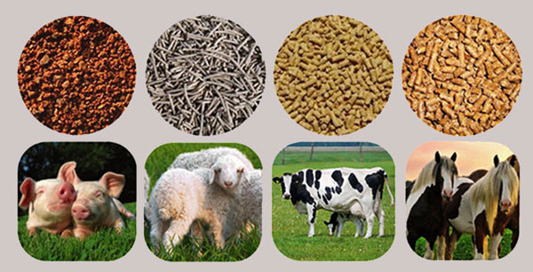 Animal feed pellet