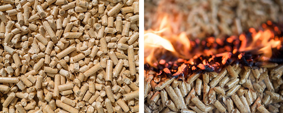 biomass fuel