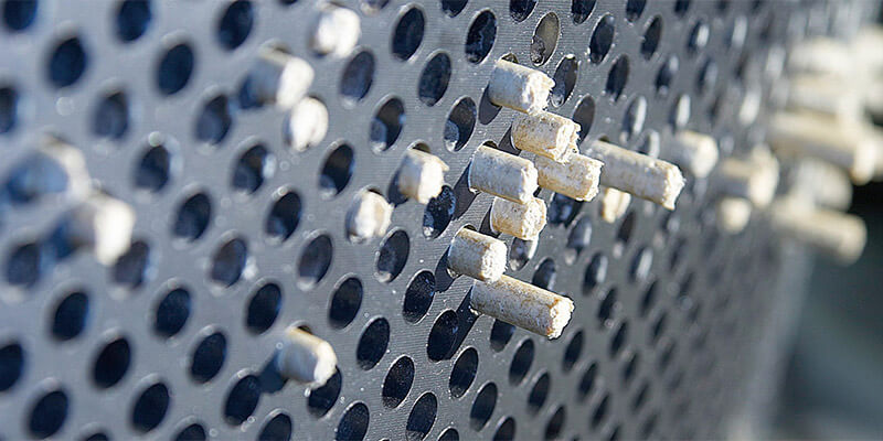 Wood Pellet Coming Through Pellet Mill Die