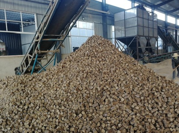 produced nearly 20,000 tons of biomass briquetting