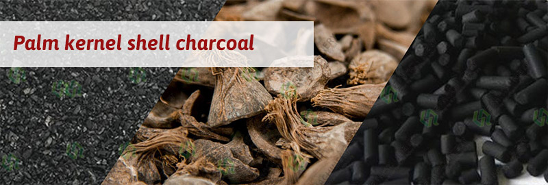 palm kernel shell charcoal